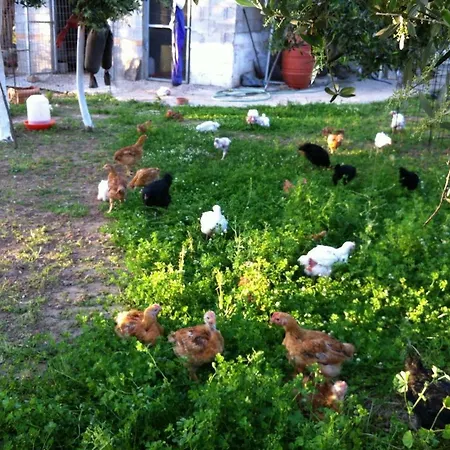 Bio Garden New House Tatil Evi *