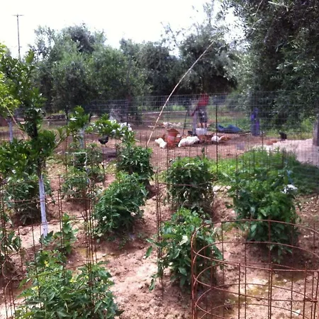 Holiday home Bio Garden New House